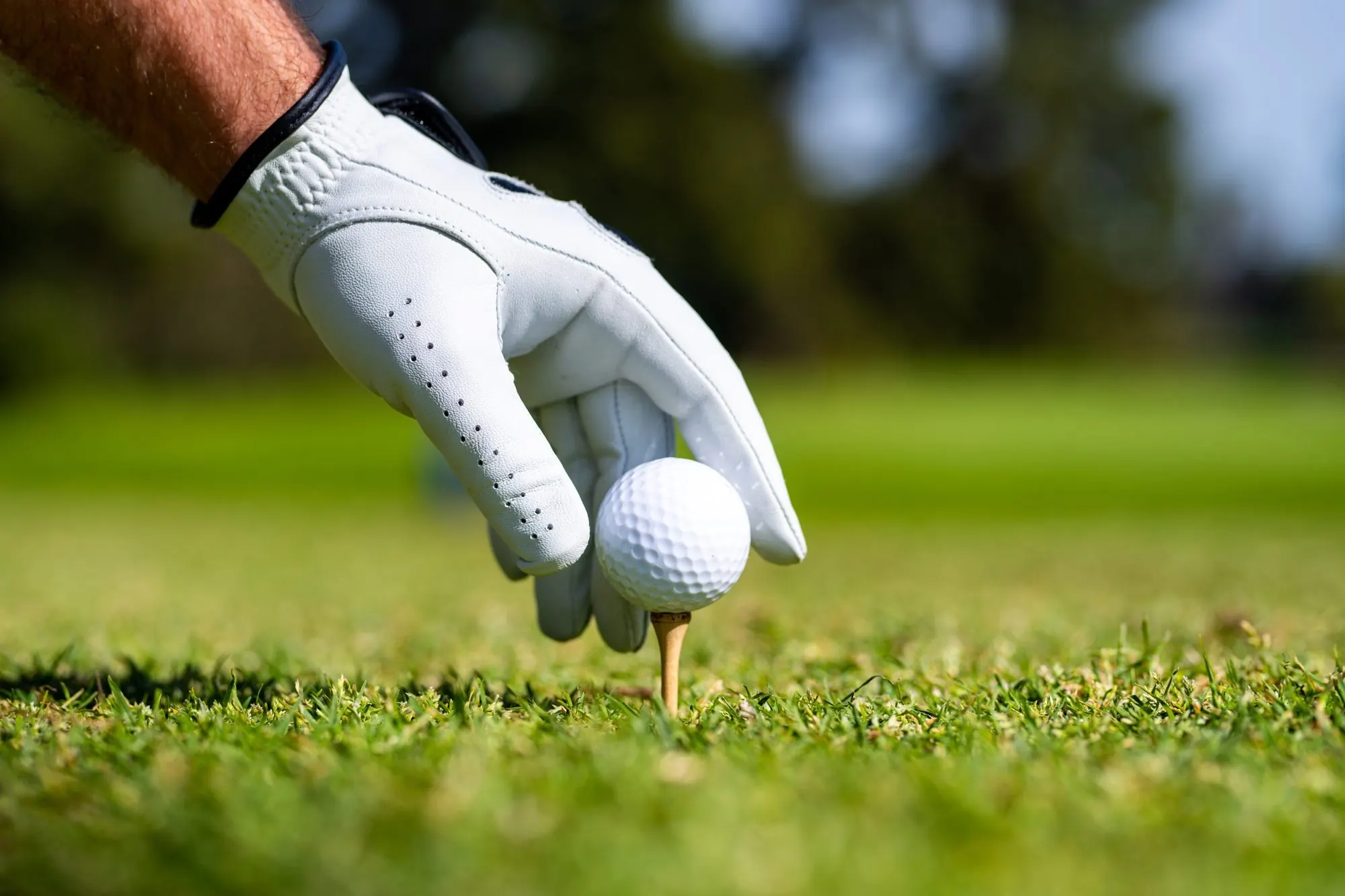 Main gantée posant une balle sur un tee